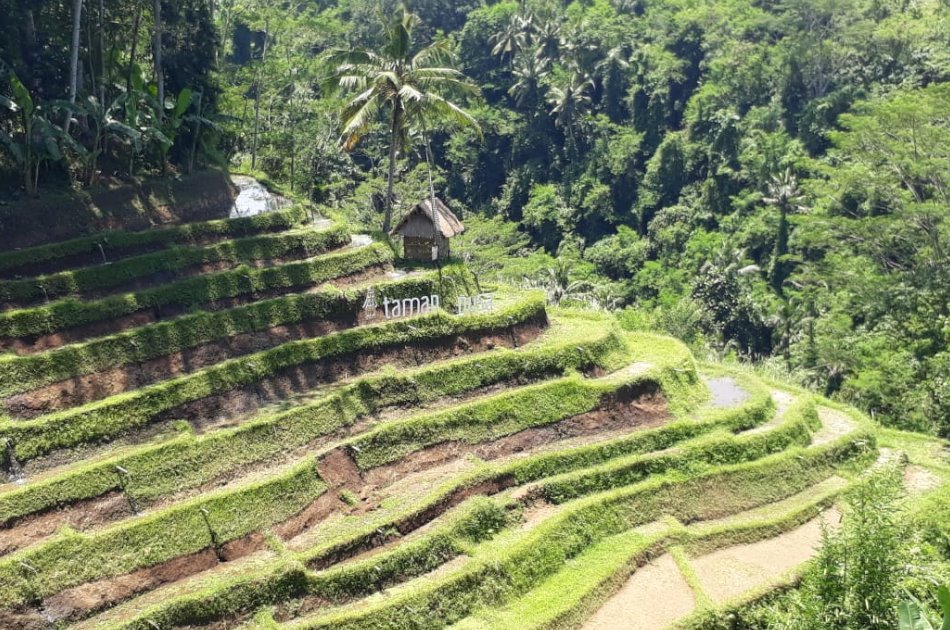 UNESCO Heritage Full Day Trip in Bali