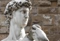 Accademia Gallery from Lucca