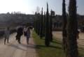 Amarone Wine Trail Tour from Verona