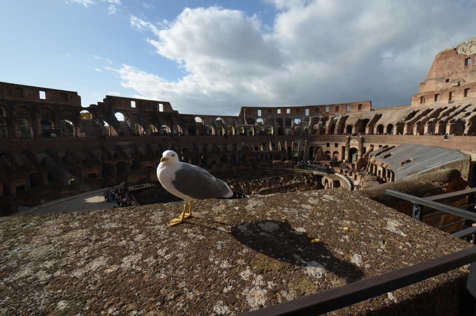Ancient Rome Tour: Colosseum, Roman Forum & Palatine Hill With Pick-up Morning Tour