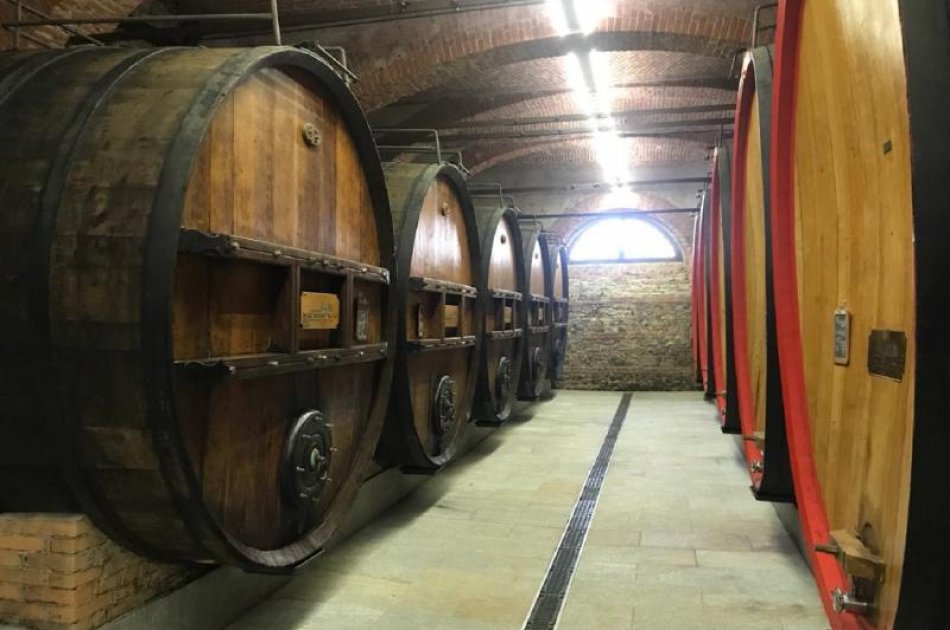 Barolo Wine Tour By Van from Milan - Small Group