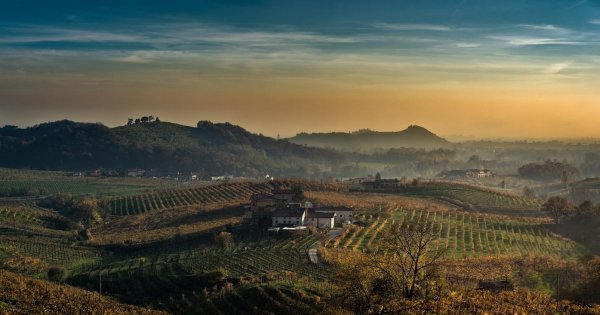 Barolo Wine Tour By Van from Milan - Small Group