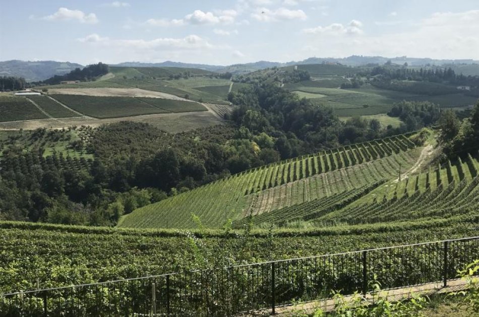 Barolo Wine Tour By Van from Milan - Small Group