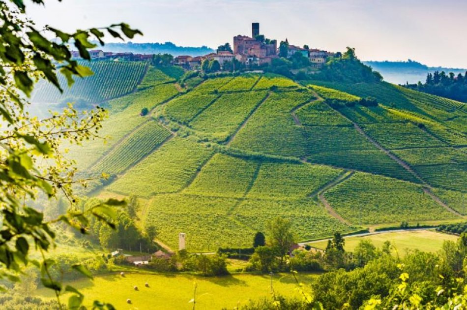 Barolo Wine Tour By Van from Milan - Small Group