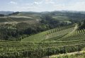 Barolo Wine Tour By Van from Milan - Small Group