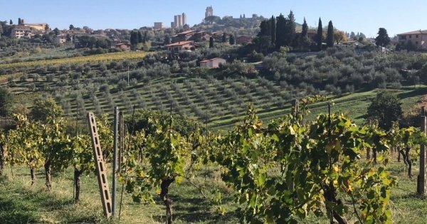Chianti and San Gimignano Private Luxury Tour From Florence