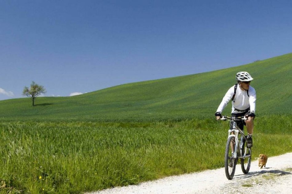 Chianti E- Bike Tour from Siena
