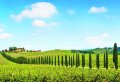 Chianti E- Bike Tour from Siena