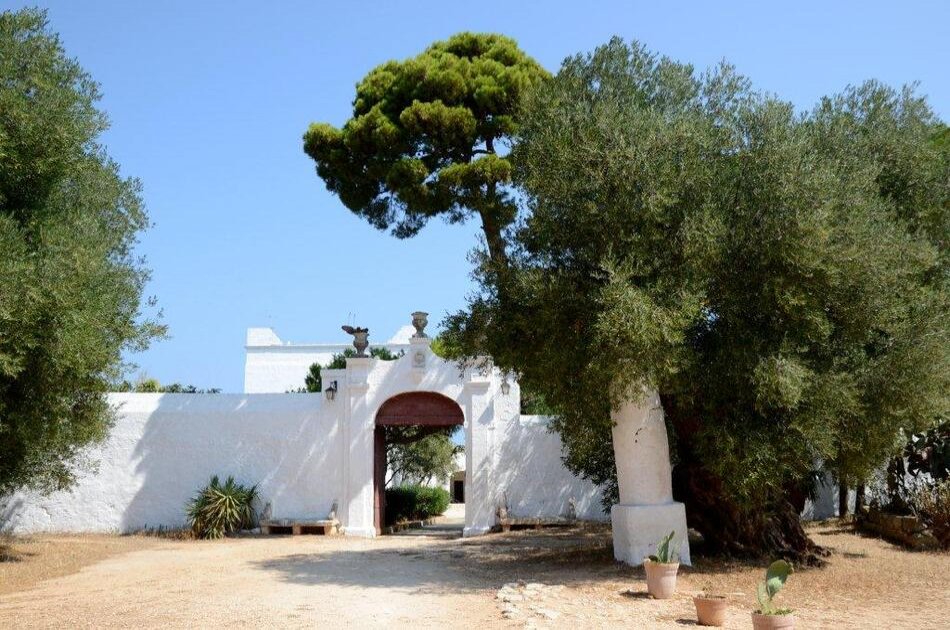 EVO Oil Tasting In a Masseria (Farmhouse)