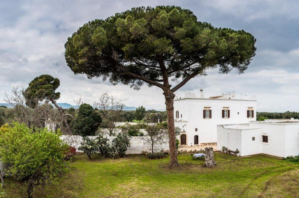 EVO Oil Tasting In a Masseria (Farmhouse)
