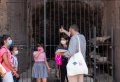Gladiator Tour: the Colosseum for Kids & Families