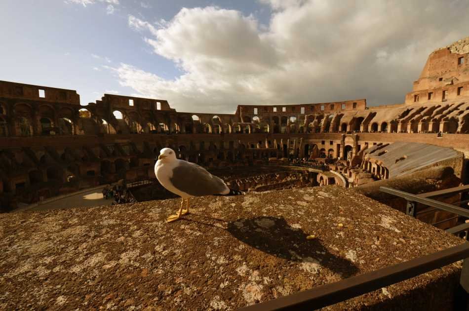 Private Guided Tour to the Colosseum, Roman Forum and Palatine Hill