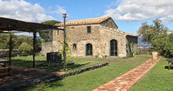 Private Wine and Archeology Tour from Palermo