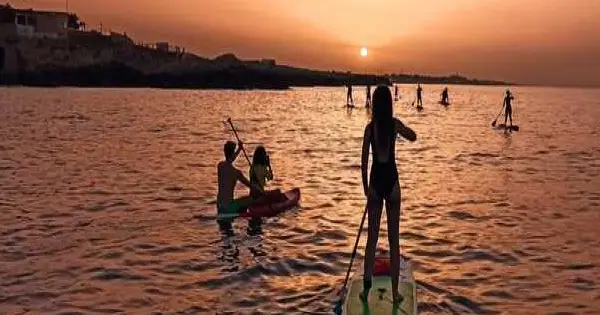 SUP! Stand up Paddle