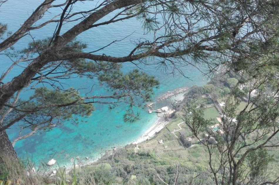 Take the Day to Explore Capri Island and Blue Grotto