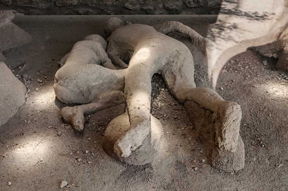 UNESCO JEWELS: Pompeii and its Ruins Group Tour