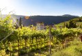 Valpolicella Wine Route - Enjoy Wine tasting in the Cellars