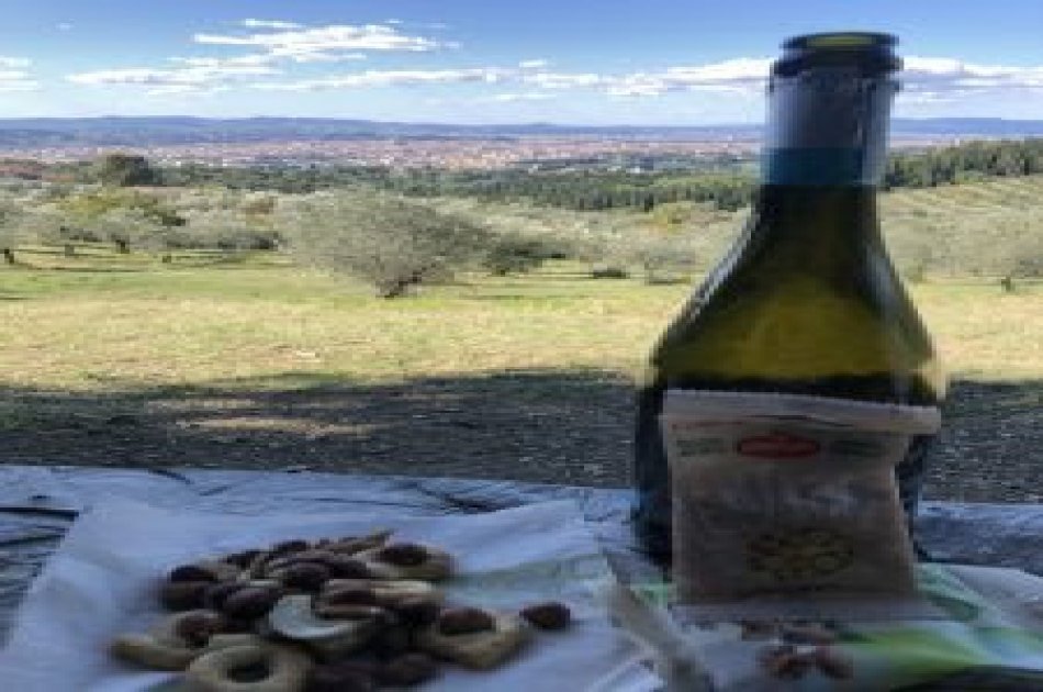 Wine Trekking experience in Florence with lunch