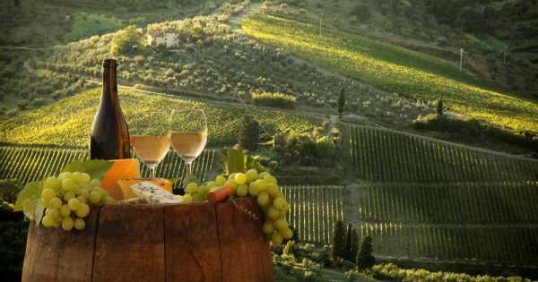 Wonderful Tuscany! Food & Wine Tour in Chianti Landscape