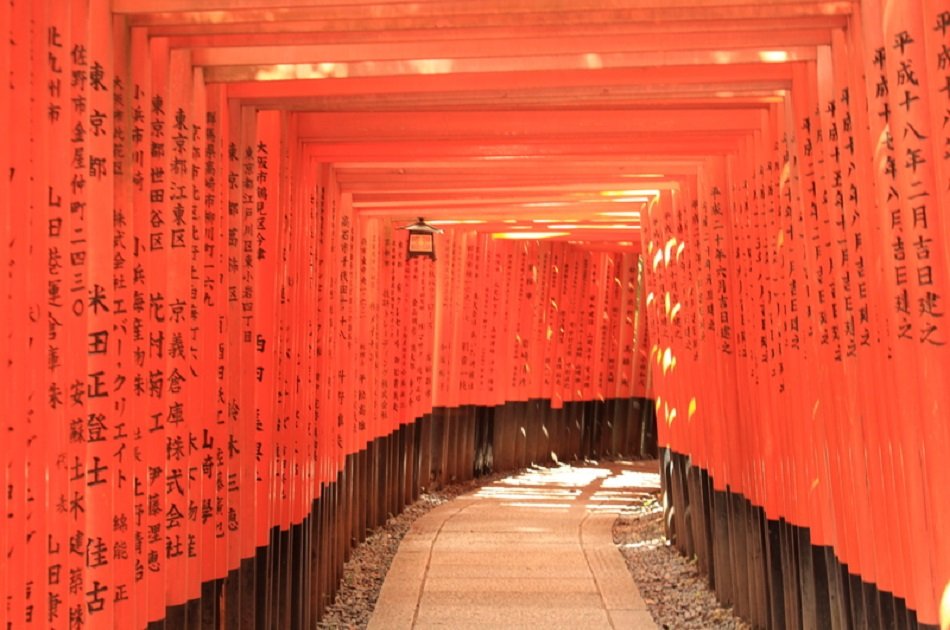 Fushimi Inari, Sanjusangendo Temple & Sake Tour