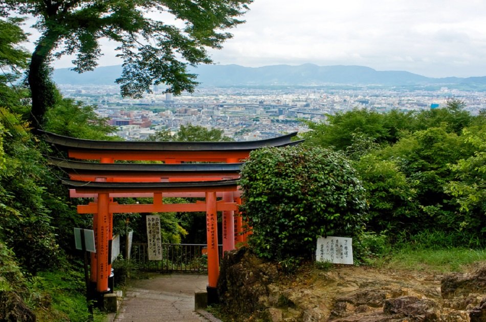 Fushimi Inari, Sanjusangendo Temple & Sake Tour