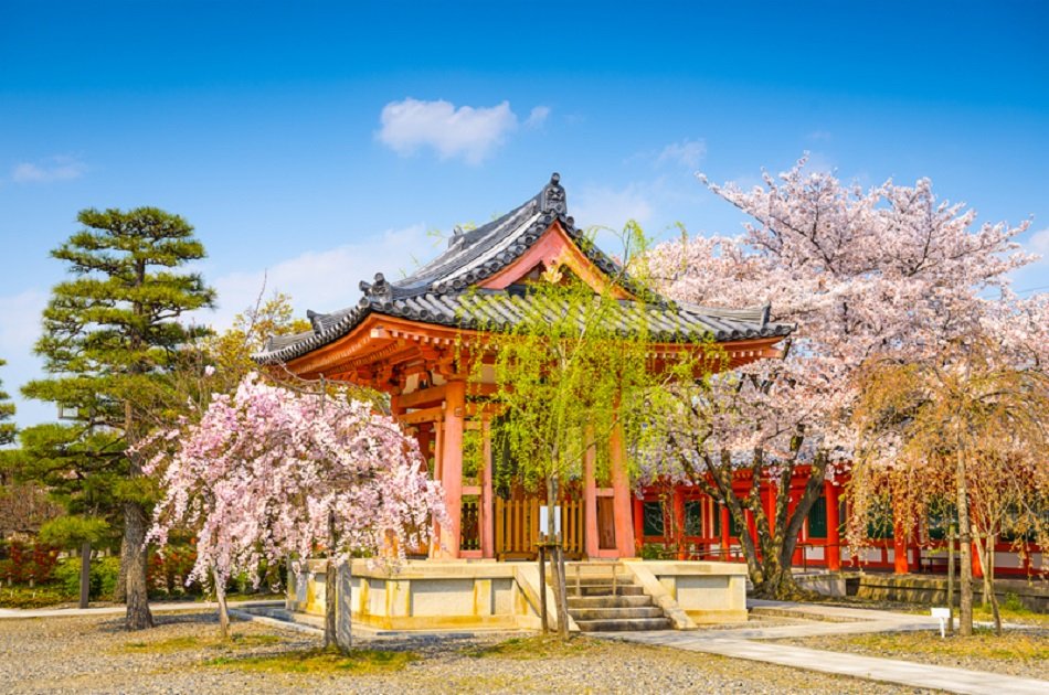 Fushimi Inari, Sanjusangendo Temple & Sake Tour