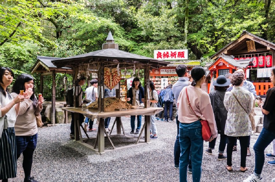 Kyoto’s Arashiyama Bamboo Forest & Temple Garden Tour