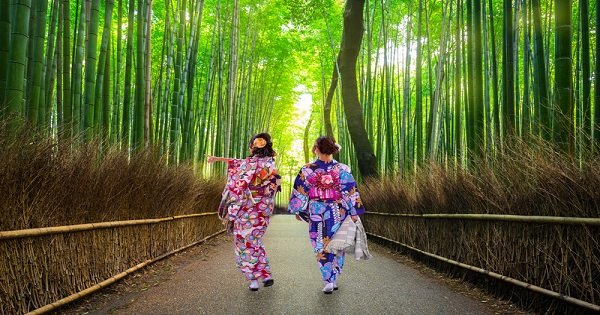 Kyoto’s Arashiyama Bamboo Forest & Temple Garden Tour