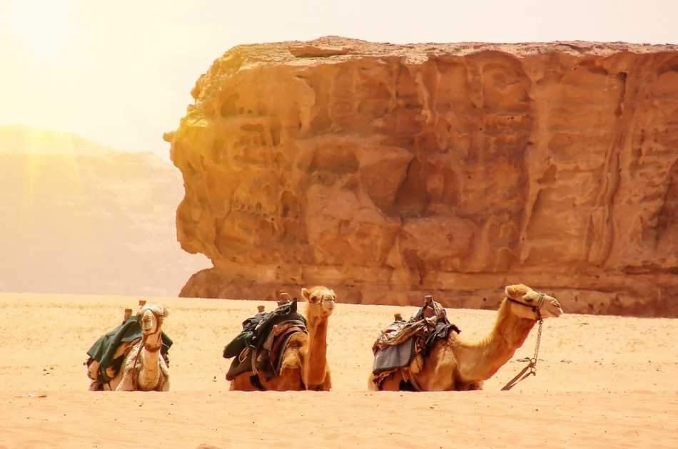 10 Days Active Wellness Tour in Jordan