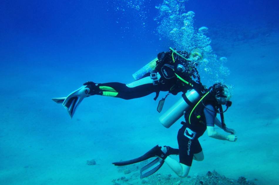 Experience Diving from shore 8 Days Private Tour