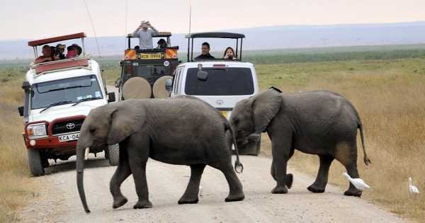 3 Day Amboseli National Park Safari