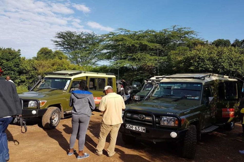 4 Day Majestic Masai Mara and Lake Nakuru Safari