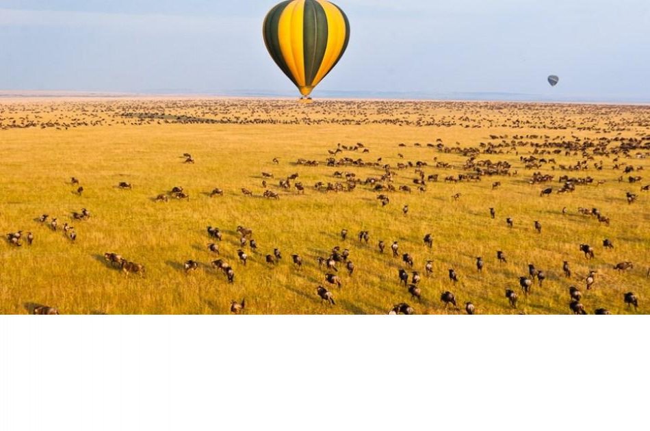 4 Days Enthralling Safaris in Kenya
