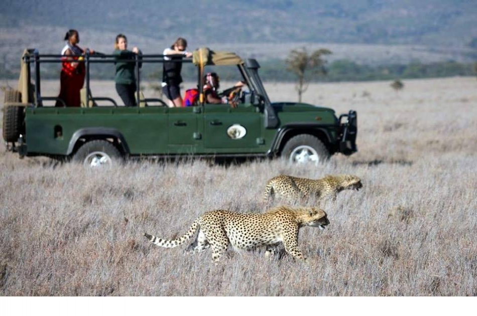 4 Days Enthralling Safaris in Kenya