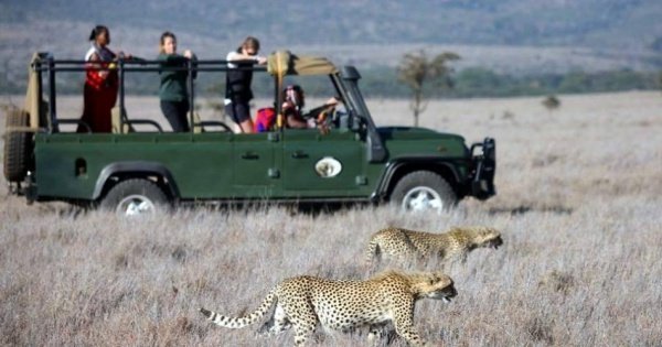 4 Days Enthralling Safaris in Kenya