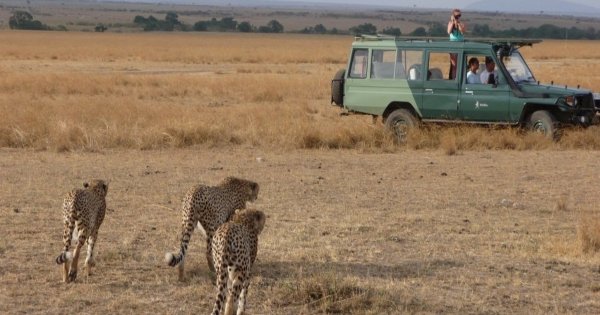 Adventures Explorer Safari in Masai Mara for 5 days 4 nights - Small Group Tour