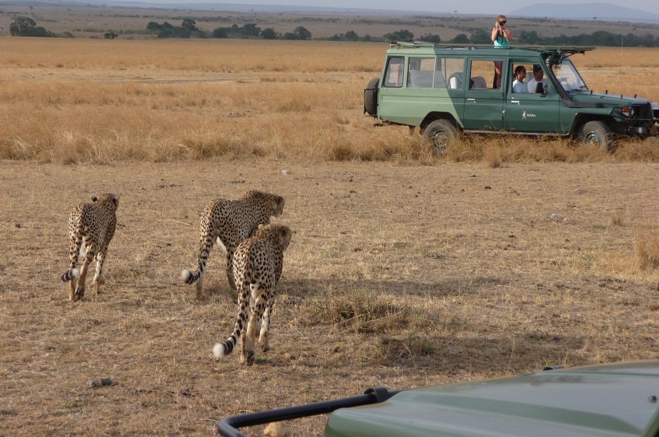 Adventures Explorer Safari in Masai Mara for 5 days 4 nights - Small Group Tour