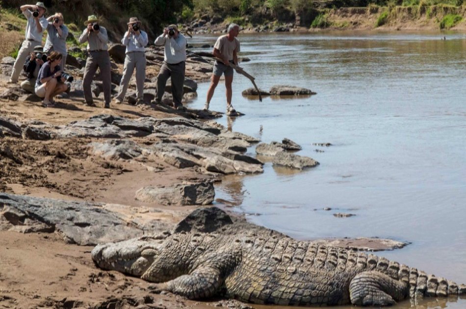 Classic Wings Kenya Safari - 5 Days