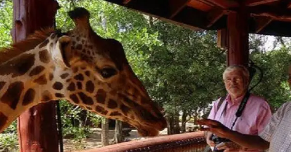 Elephant Orphanage and Giraffe Center in Nairobi