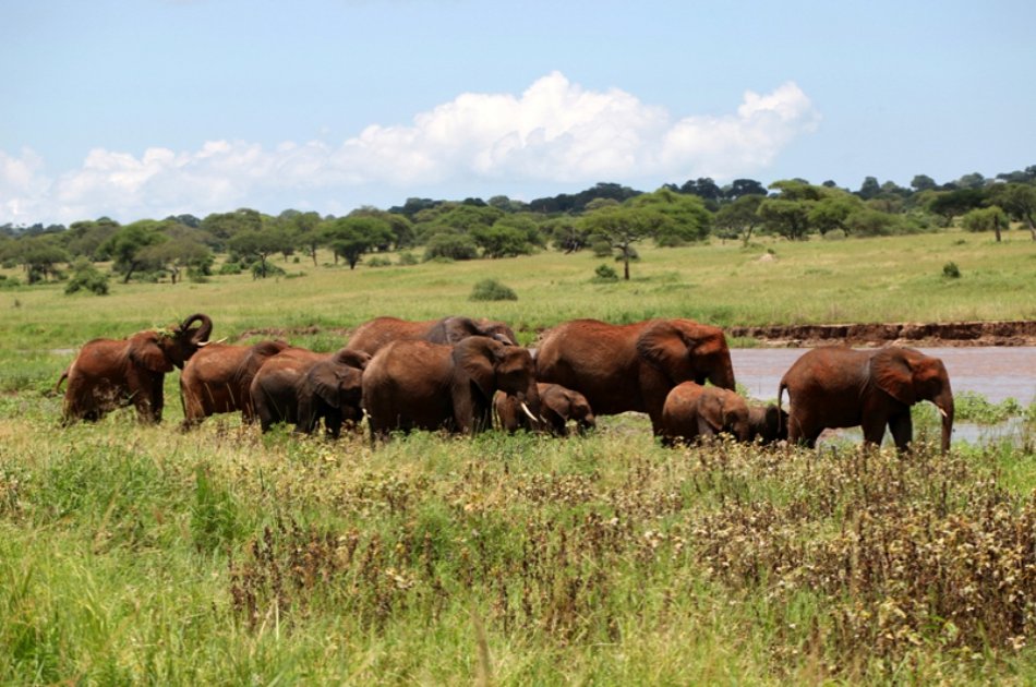 Exciting 3 Day Masai Mara Lodge Safari in Kenya