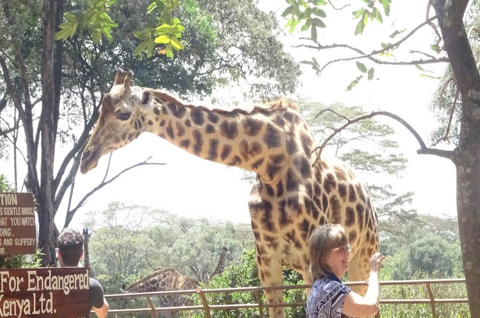 Exciting Full Day Tour of Nairobi Animal Orphanage, Elephant & Giraffe Centres