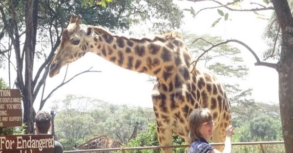 Exciting Full Day Tour of Nairobi Animal Orphanage, Elephant & Giraffe Centres