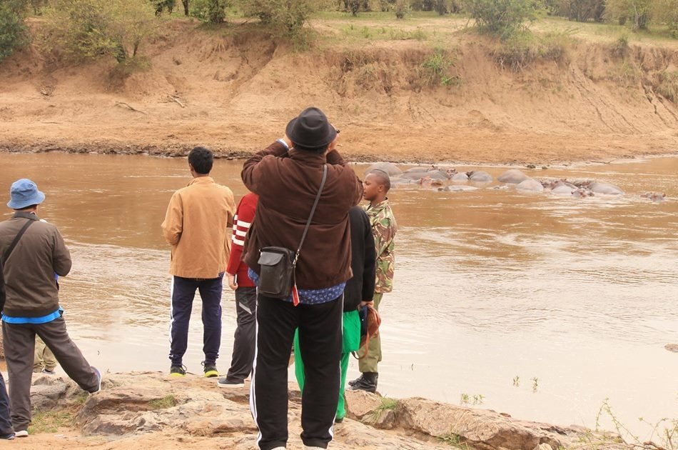 Kenya 5 Day Highlights Safari