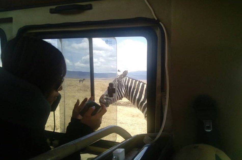 Kenya 5 Day Highlights Safari