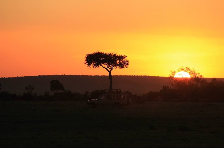 Kenya 5 Day Highlights Safari