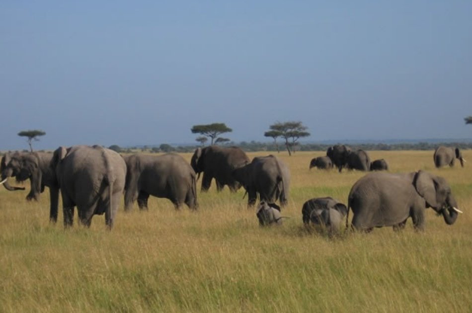 Kenya and Tanzania 10 Days Adventure Safari