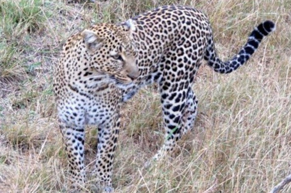 Kenya and Tanzania 10 Days Adventure Safari