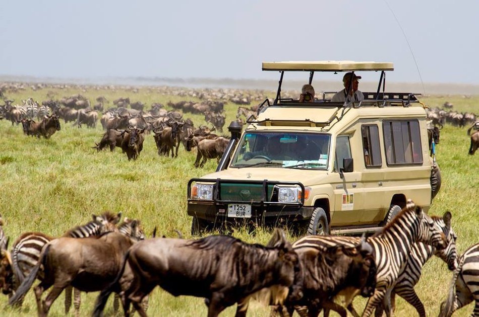Kenya  Guided Wildlife Safari