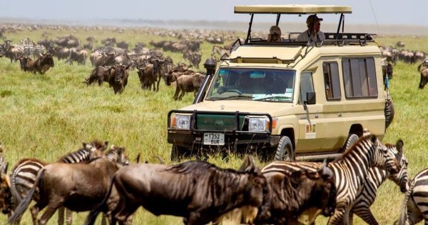 Kenya  Guided Wildlife Safari