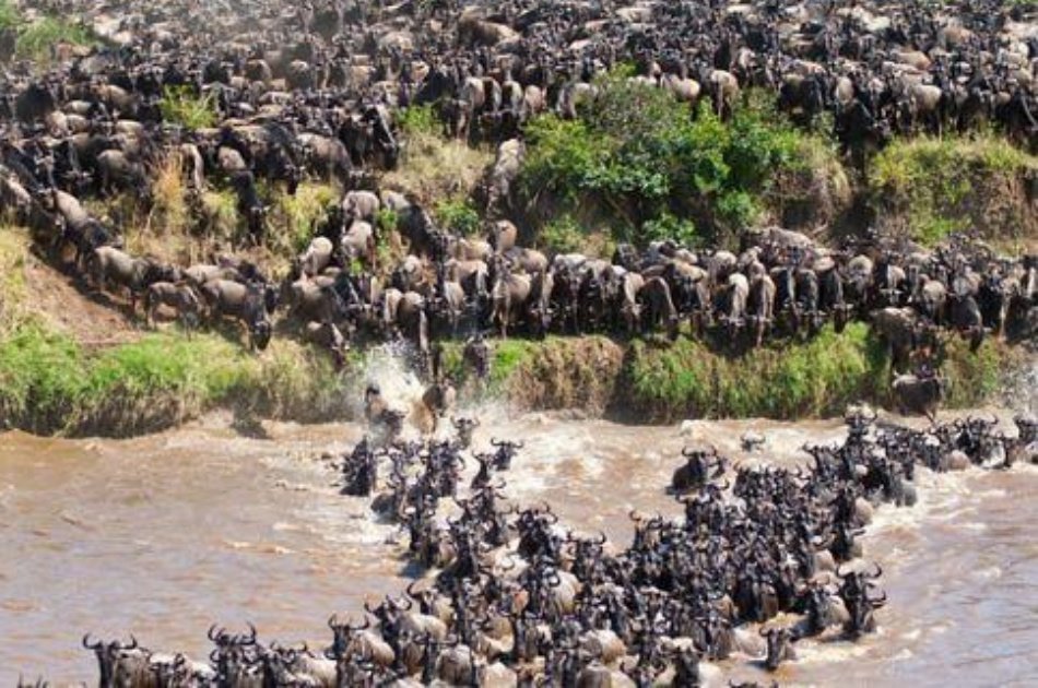 Kenya Migration Lodge  Safari